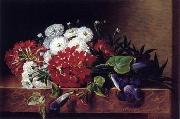 unknow artist Floral, beautiful classical still life of flowers.036 Germany oil painting artist